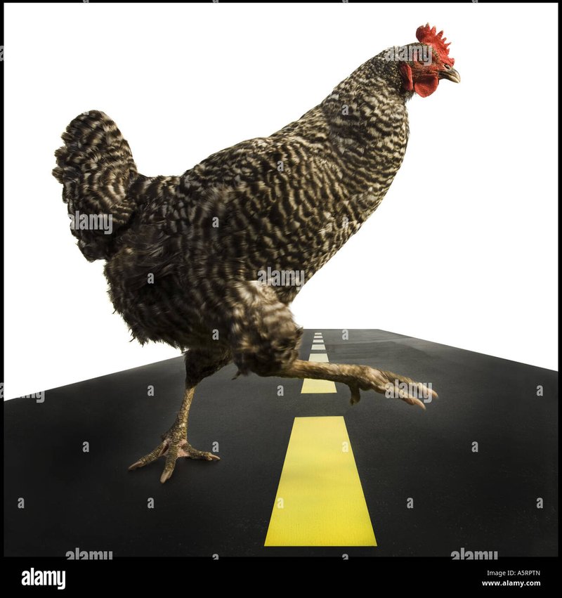 A look at chicken road casino A look at chicken road casino